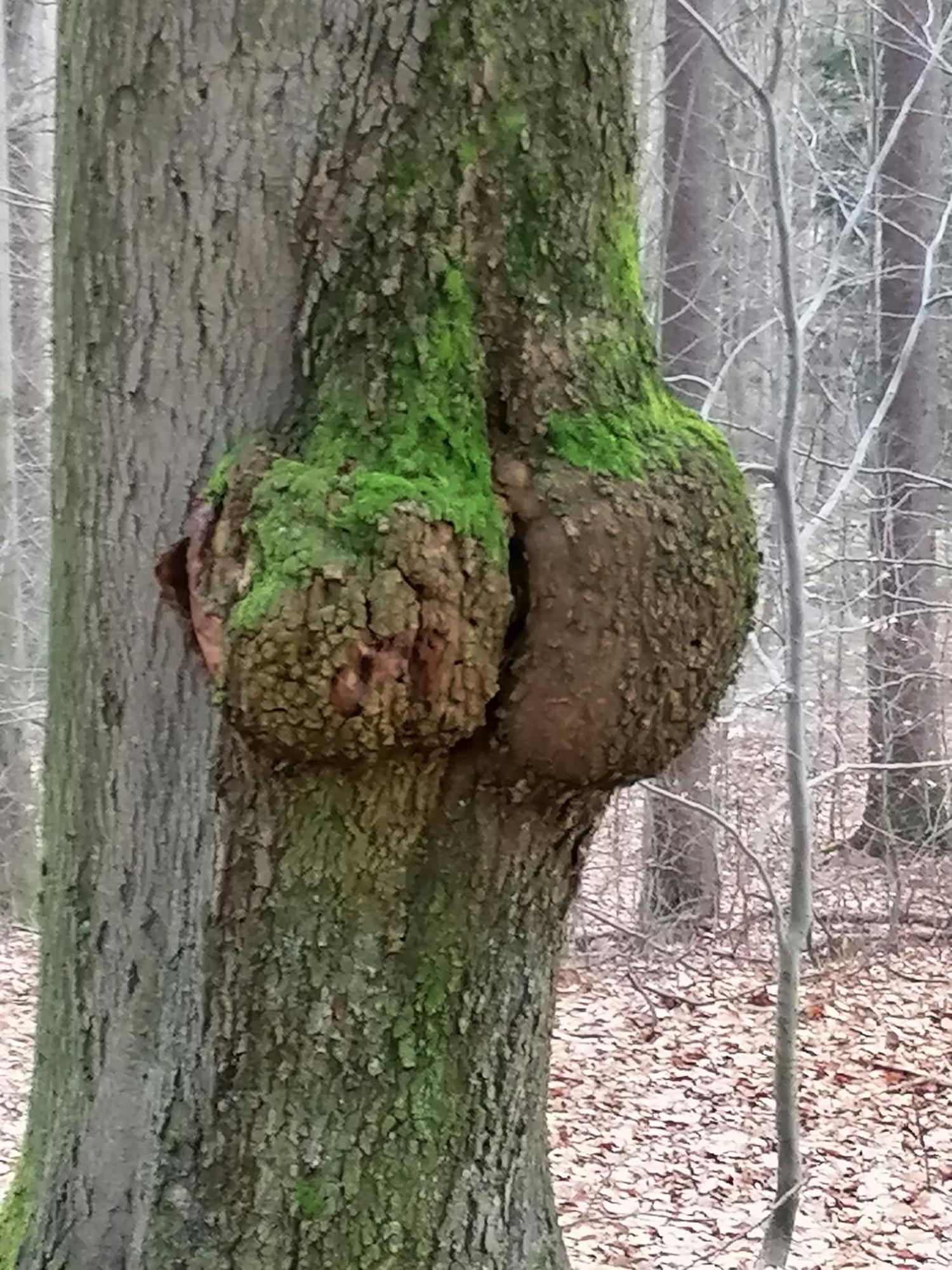 Penzion Jura Хршибска Экстерьер фото