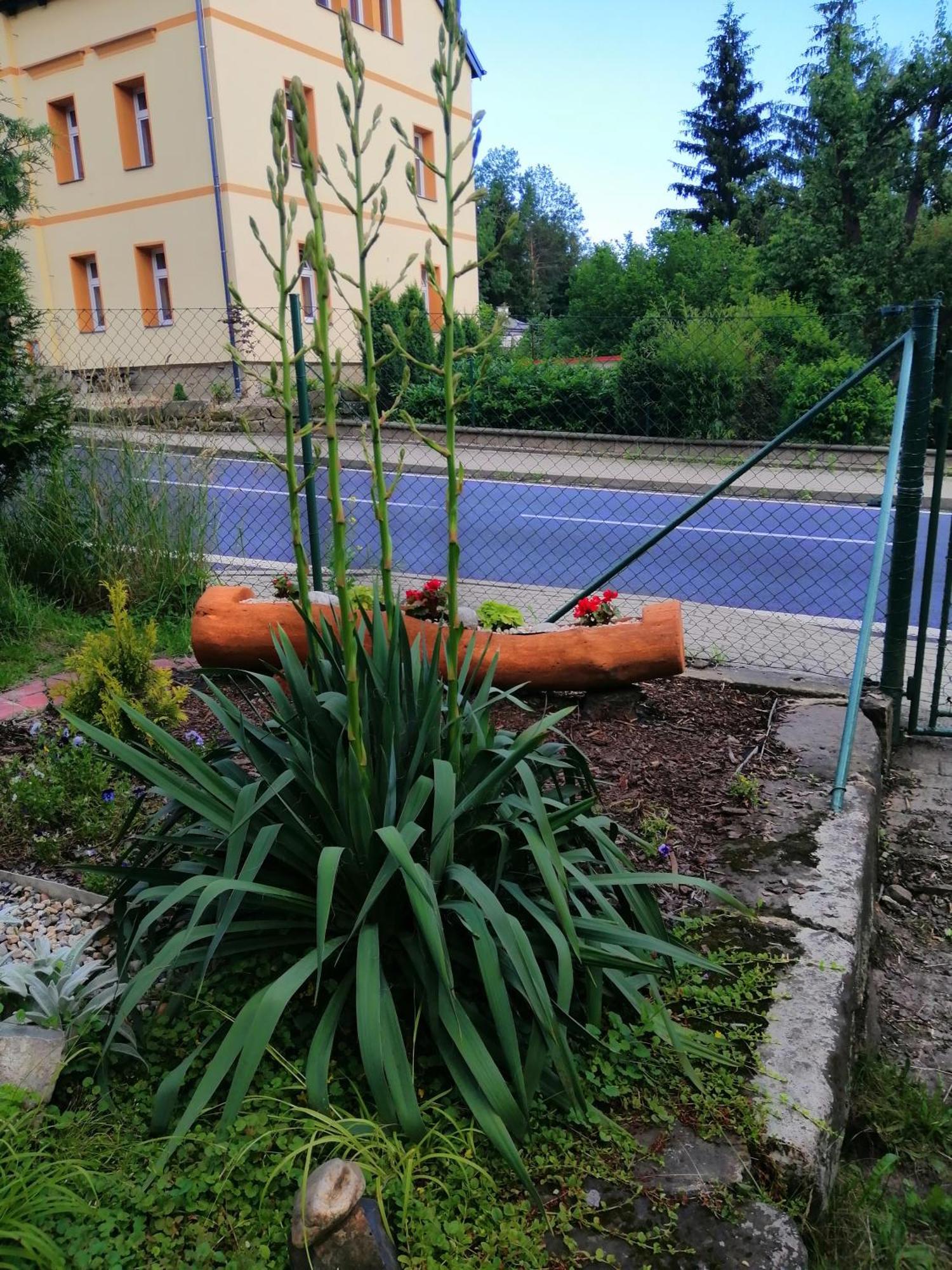 Penzion Jura Хршибска Экстерьер фото